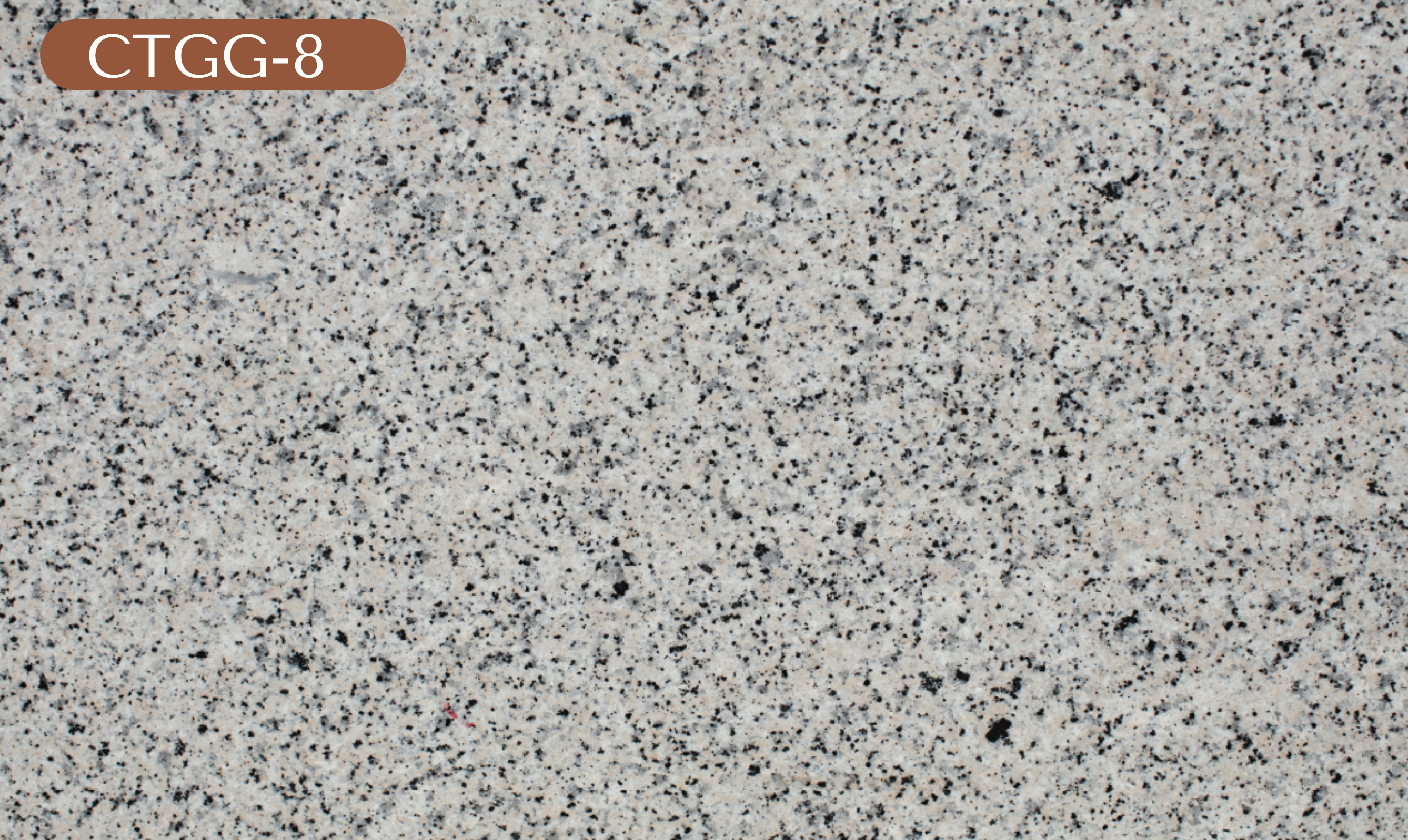 CTGG-8 Gray Granite