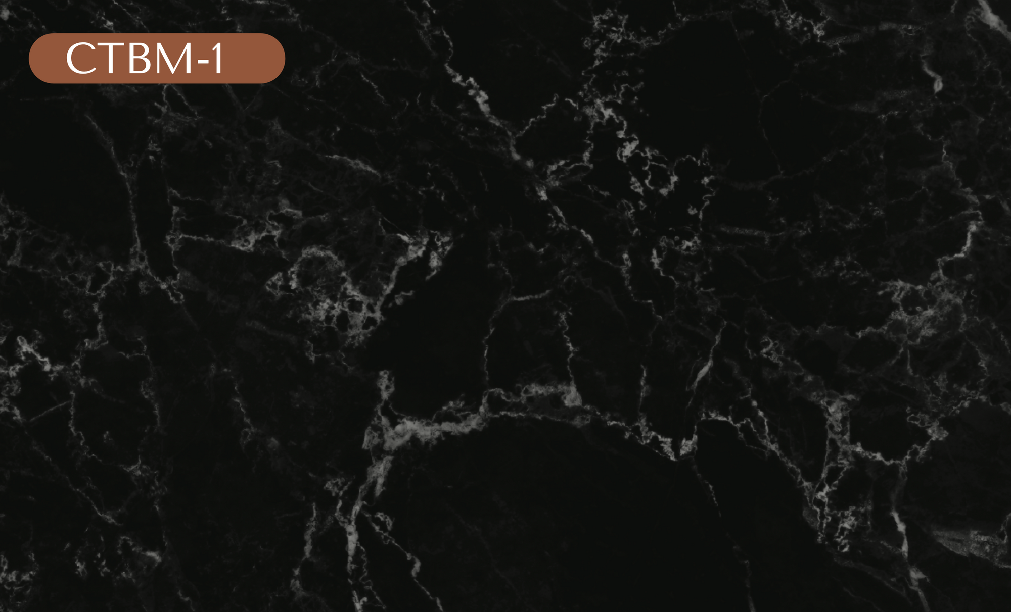 CTBM-1 Black Marble Vinyl