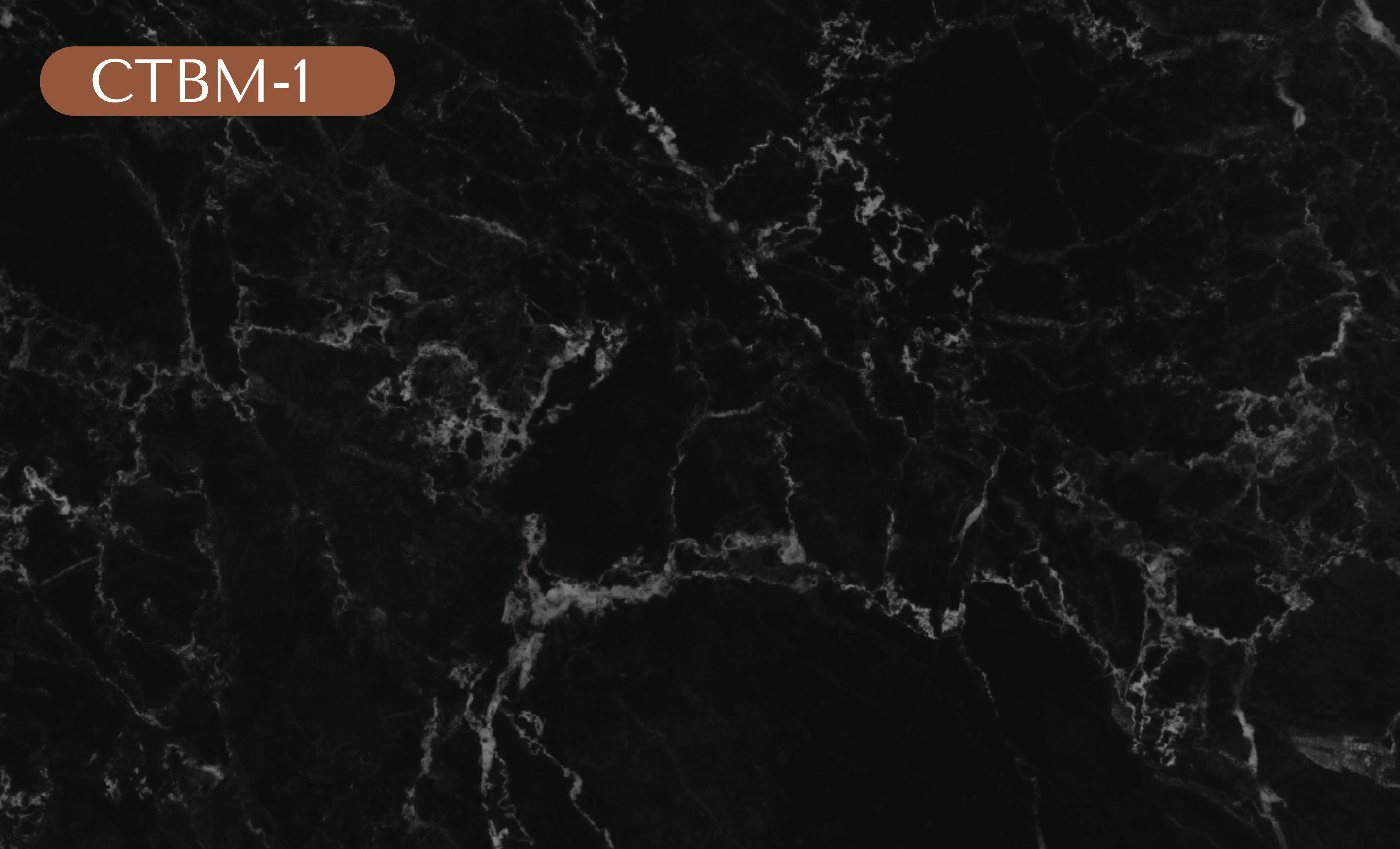 CTBM-1 Black Marble Vinyl