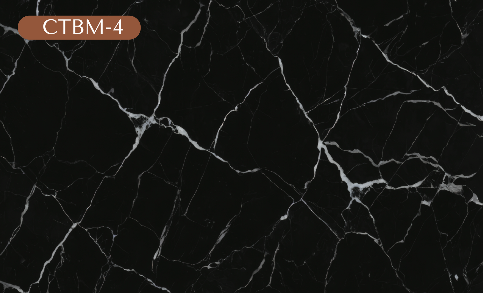 CTBM-4 Black Marble Vinyl