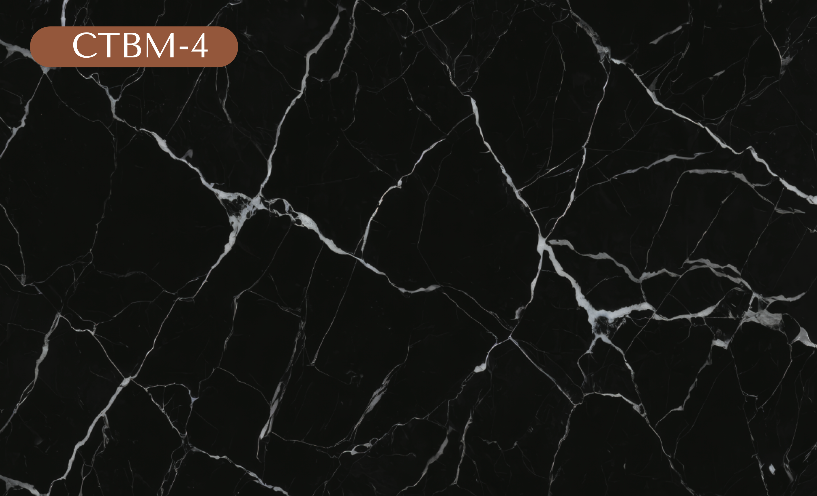 CTBM-4 Black Marble Vinyl