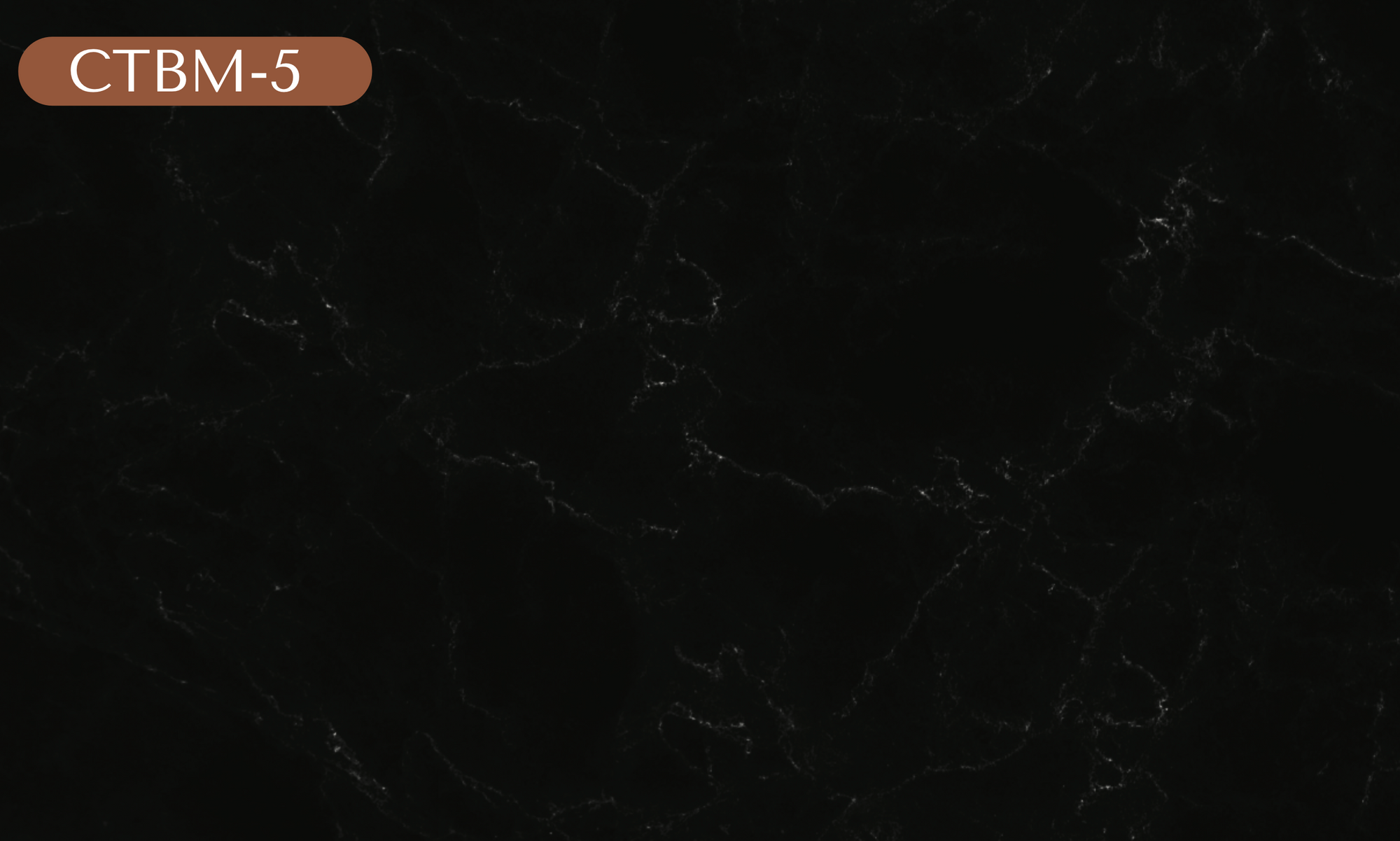 CTBM-5 Black Marble Vinyl
