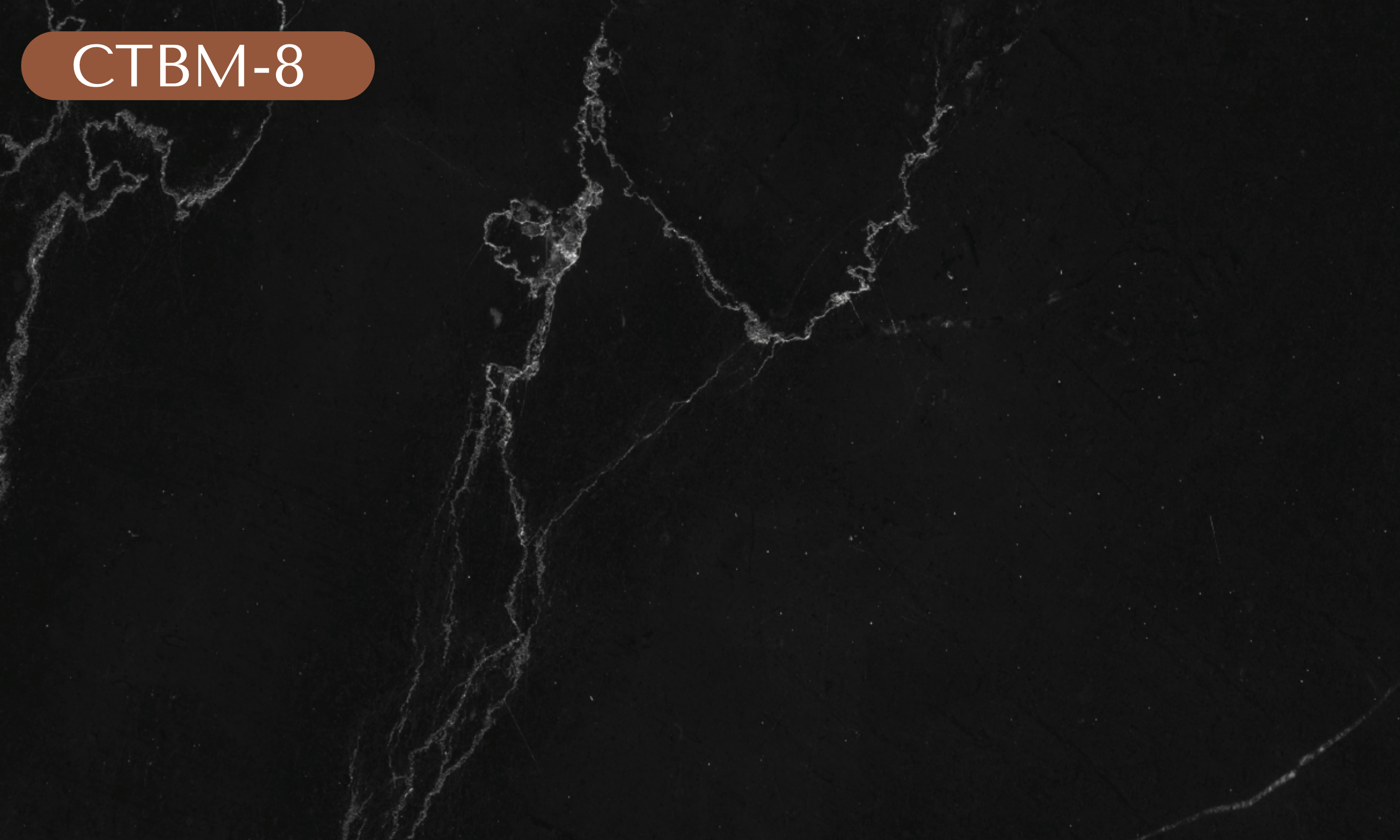 CTBM-8 Black Marble Vinyl