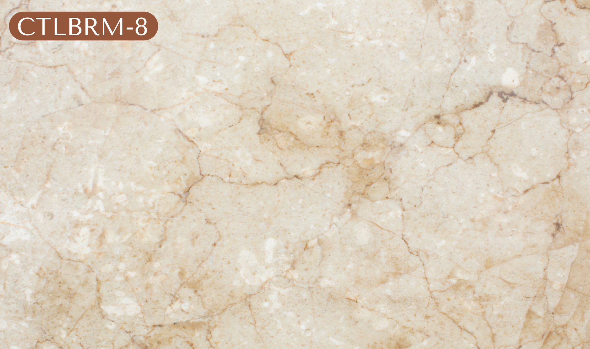 CTLBRM-8 Beige / Light Tan Marble