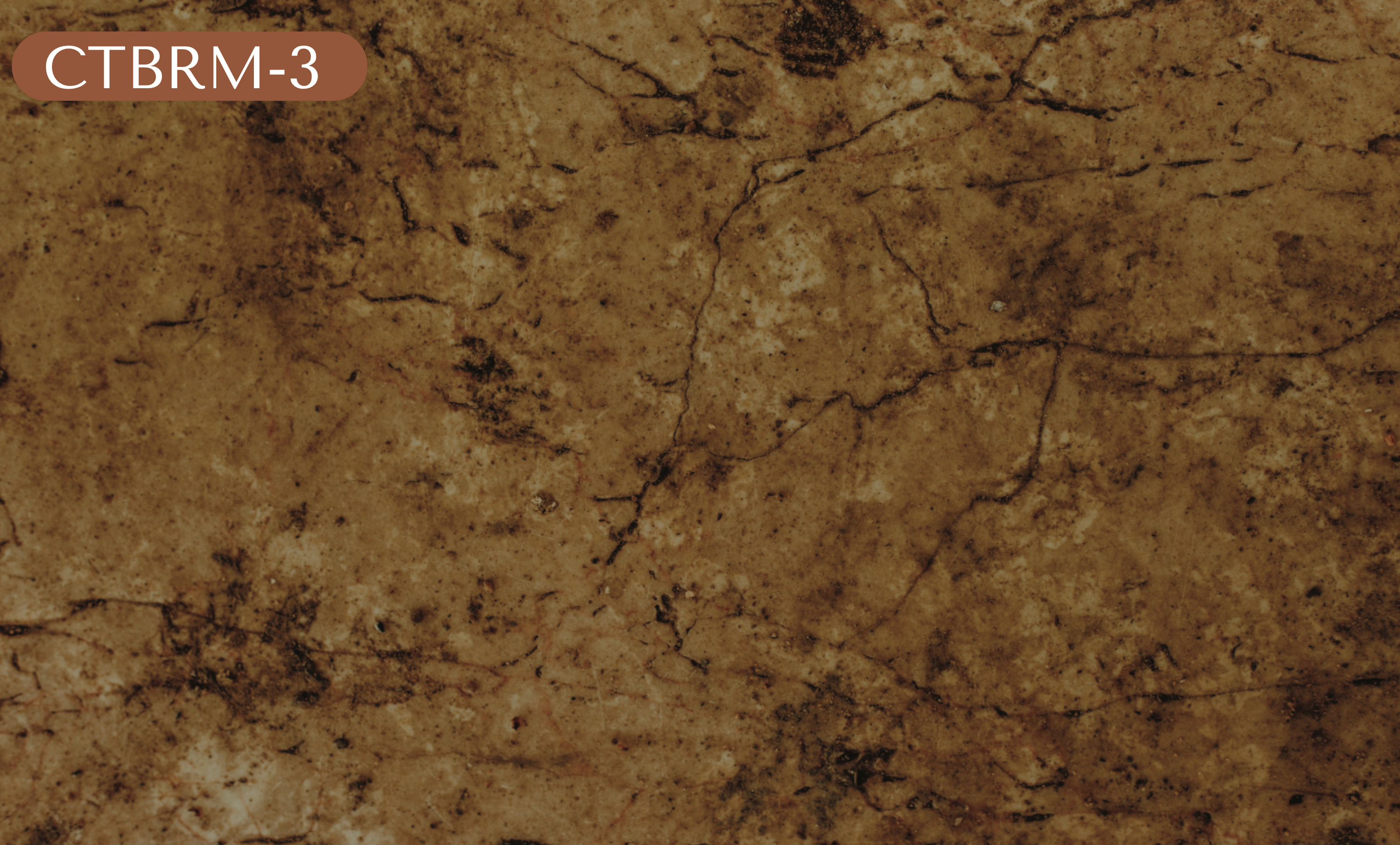 CTBRM-3 Brown Marble