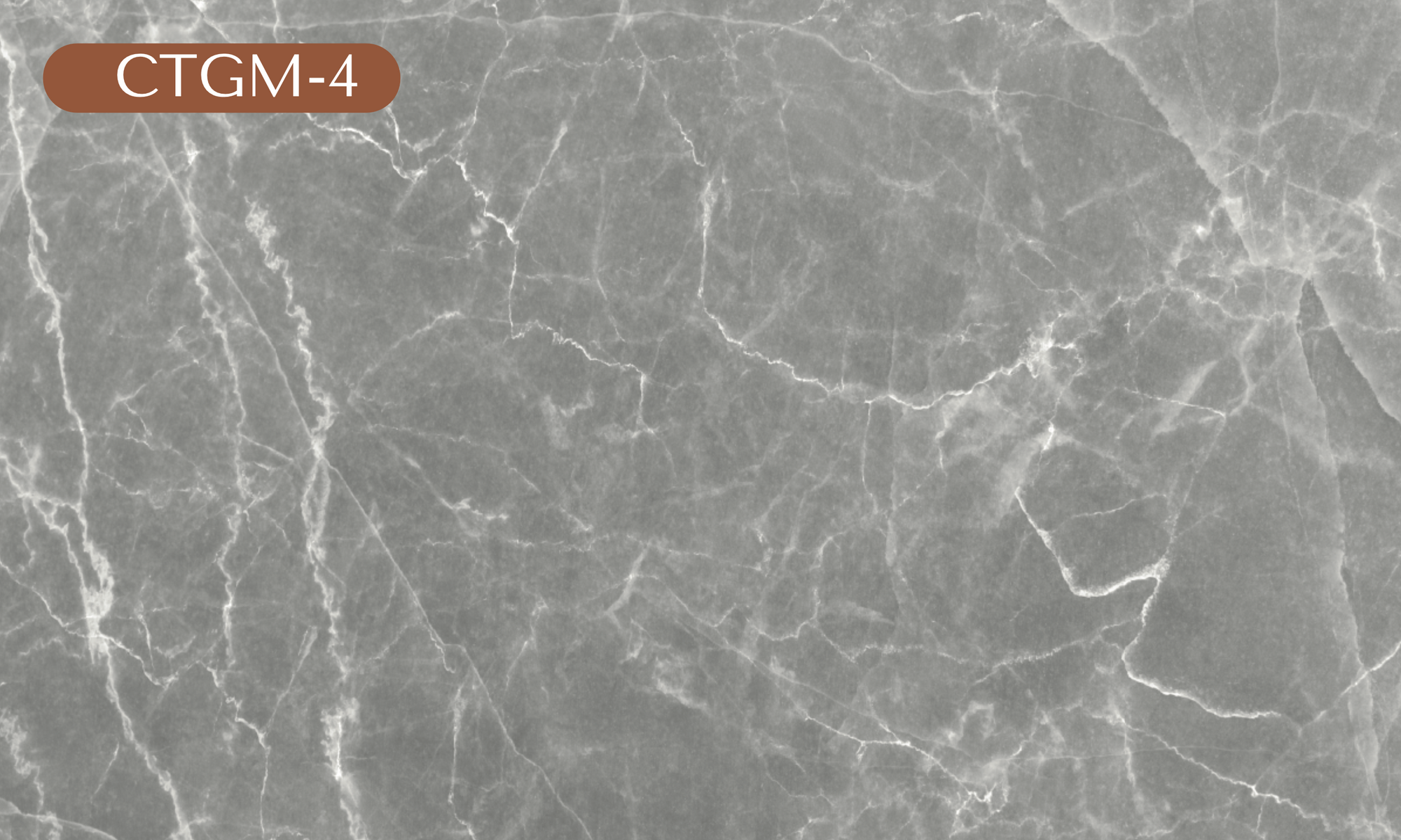 CTGM-4 Gray Marble