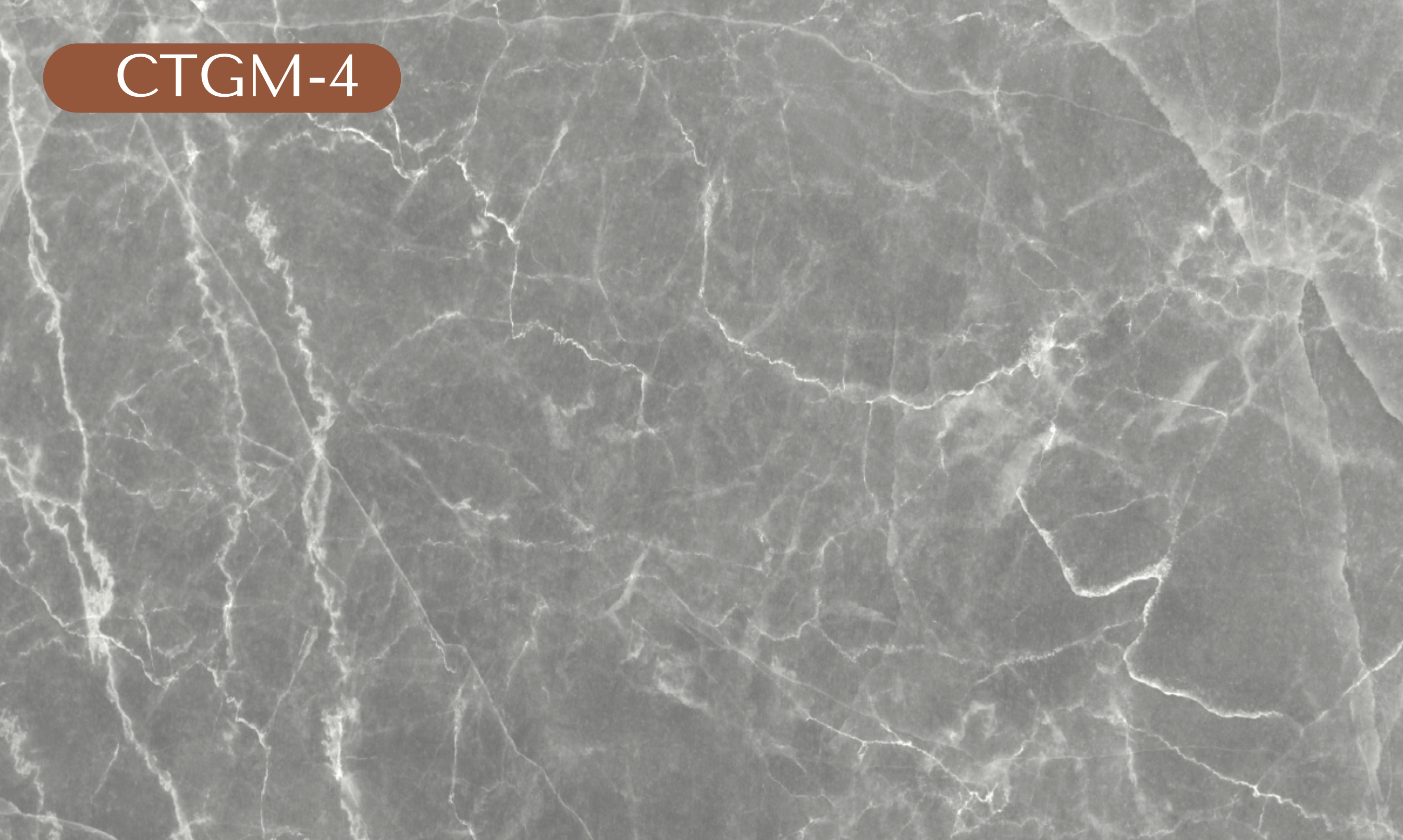 CTGM-4 Gray Marble