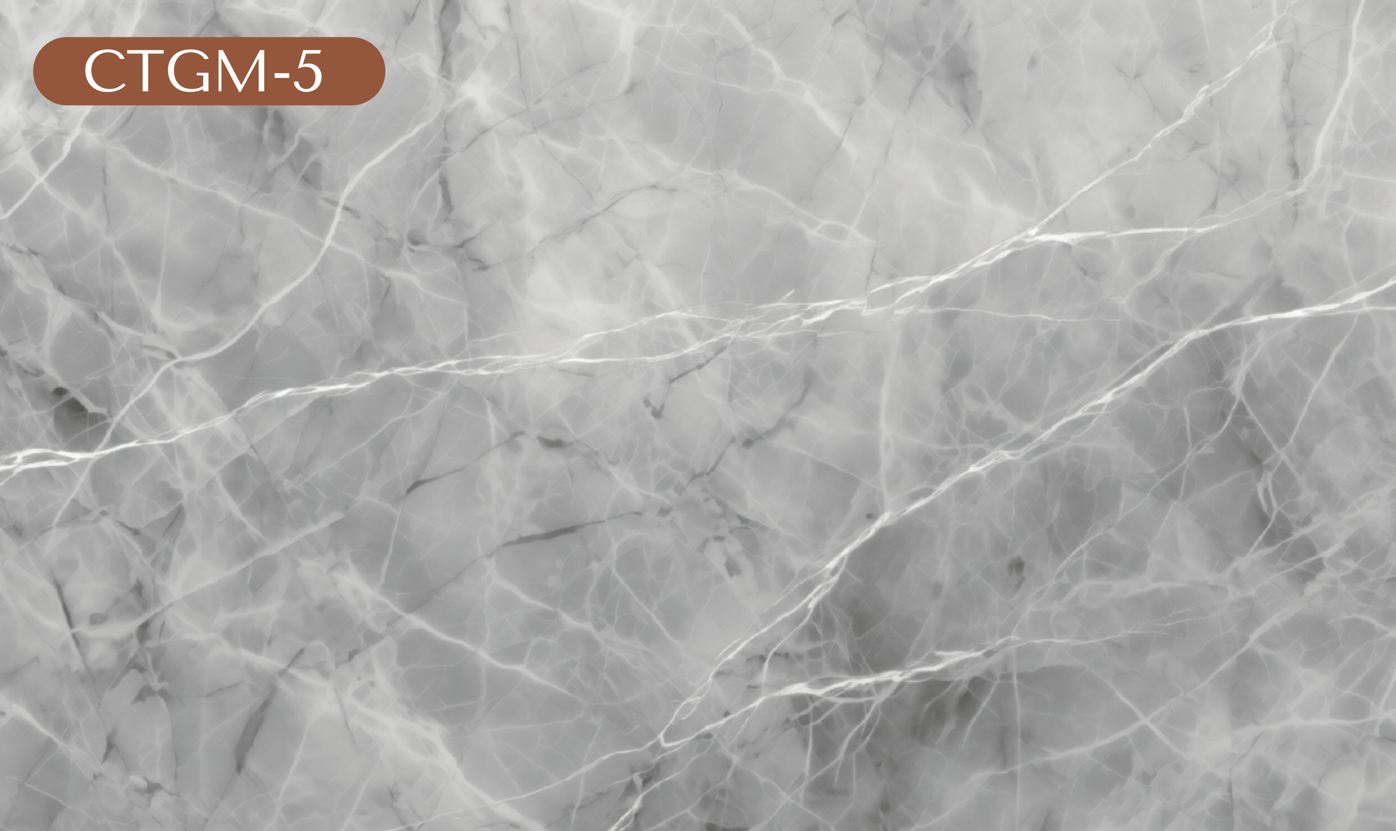 CTGM-5 Gray Marble