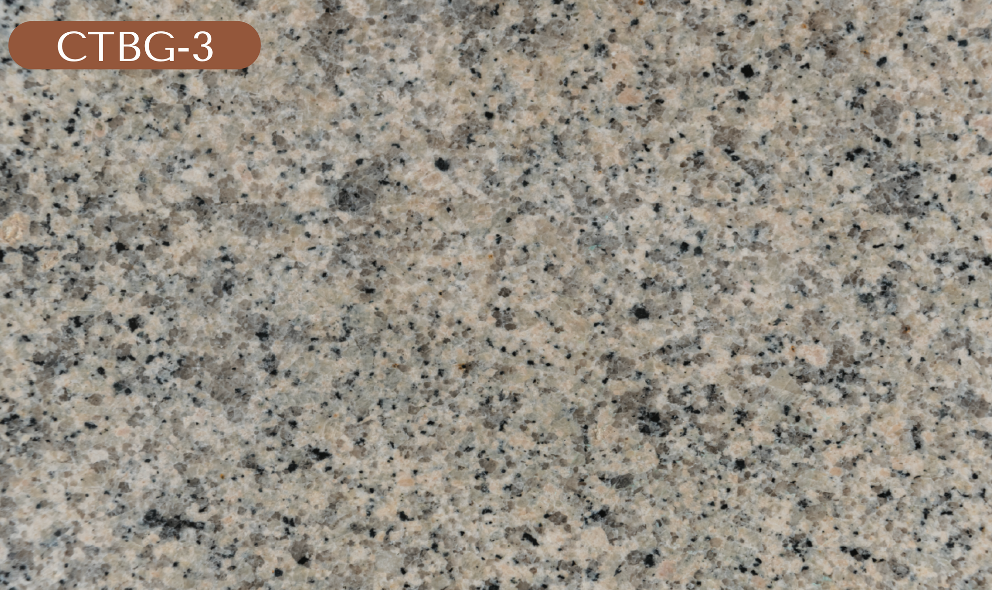 CTBG-3 Brown Granite
