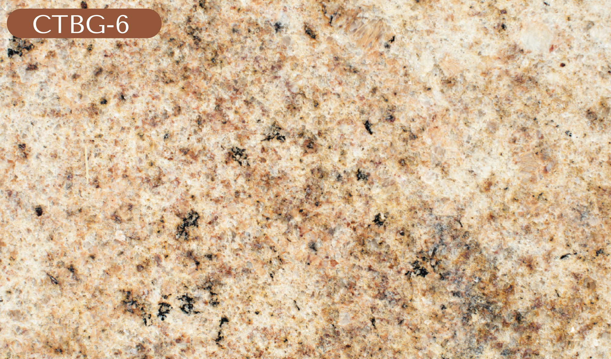 CTBG-6 Brown Granite