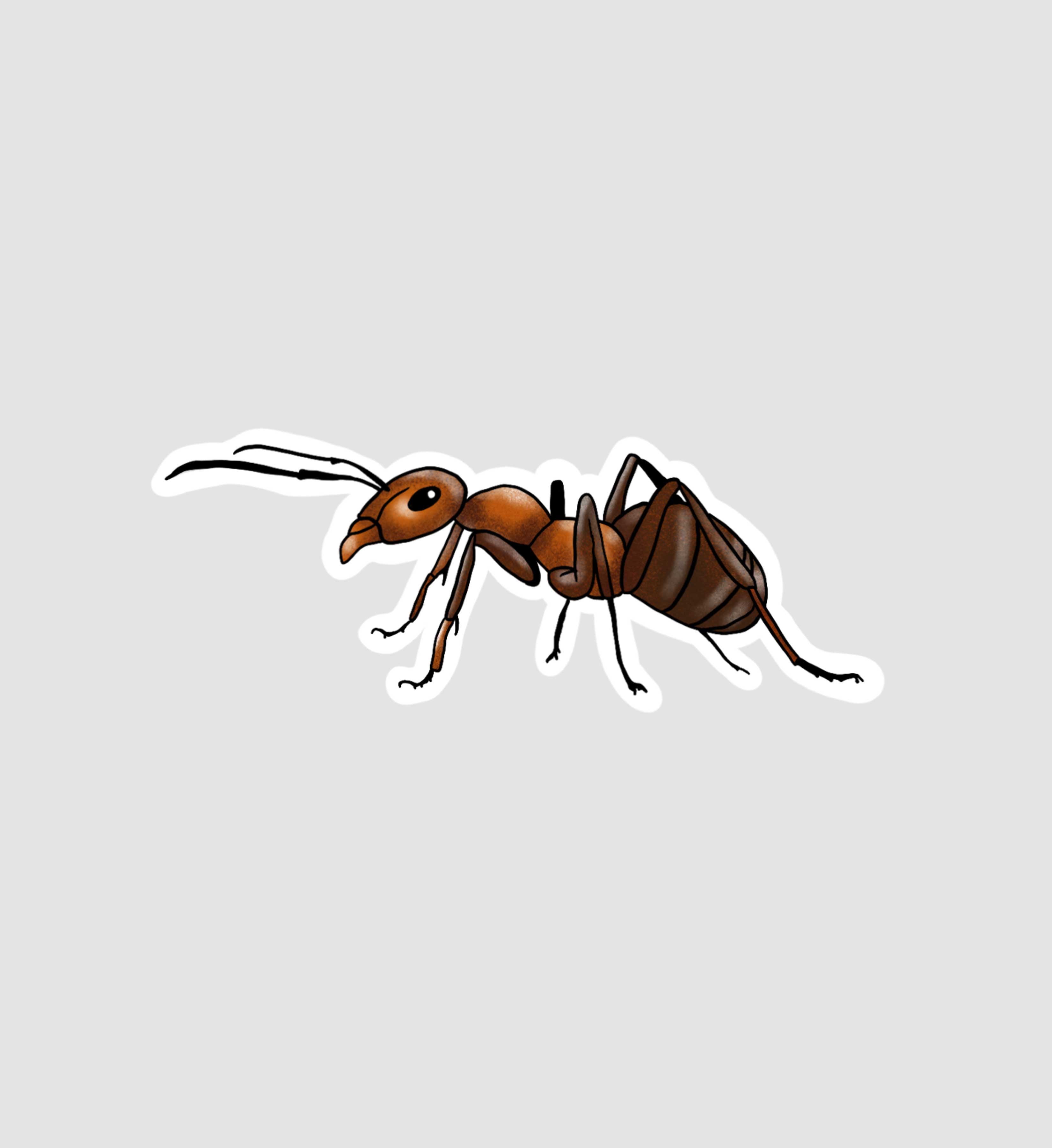 Ant Sticker