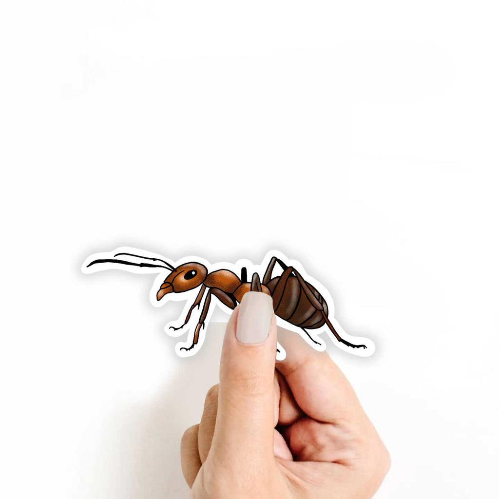 Ant Sticker