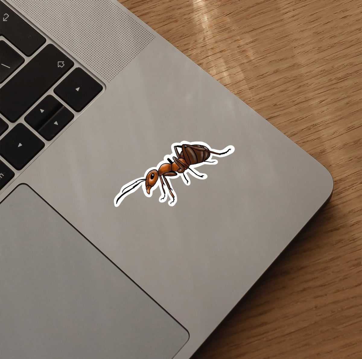 Ant Web Sticker Ant Sticker – Stick It Aesthetic