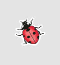Ladybug Sticker