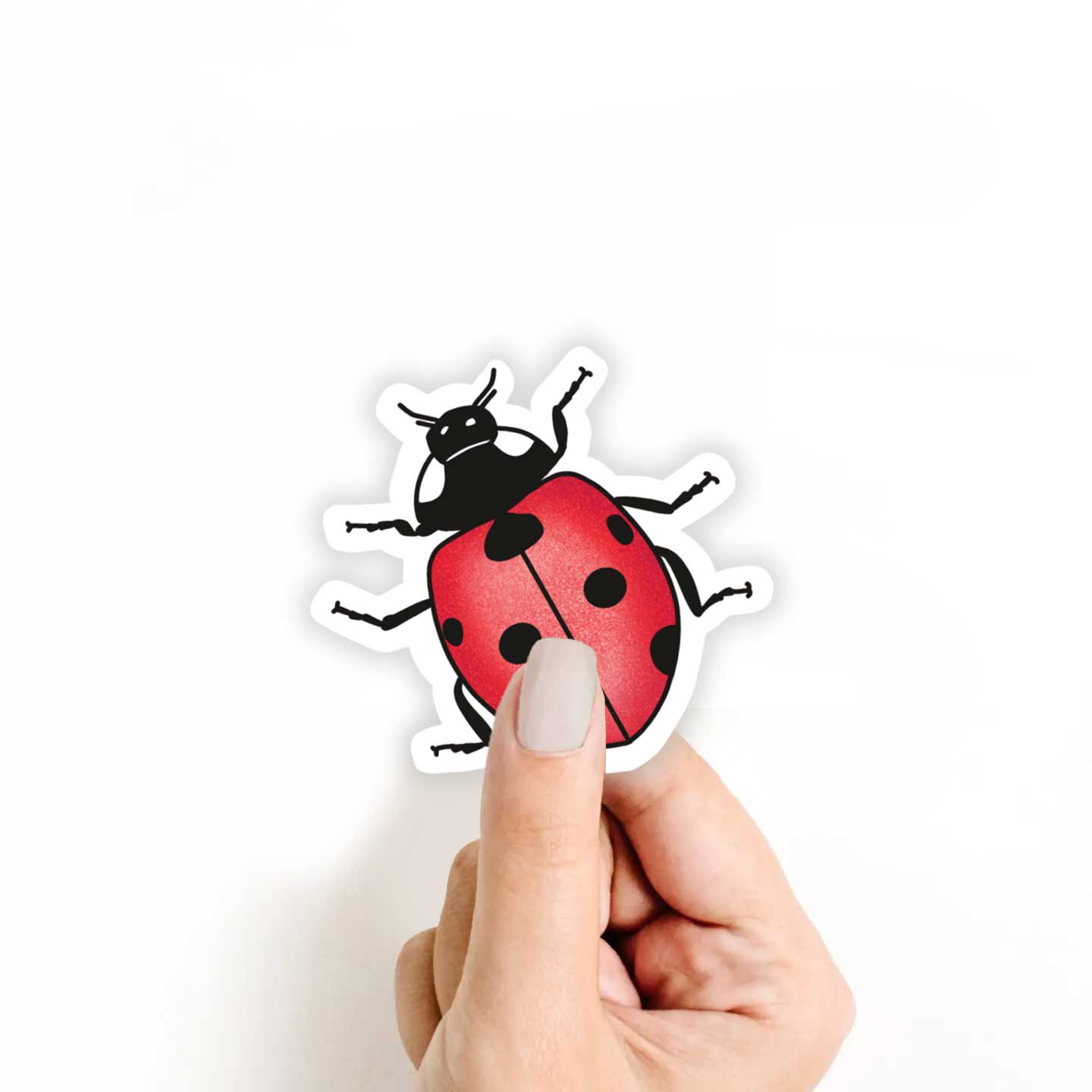 Ladybug Sticker
