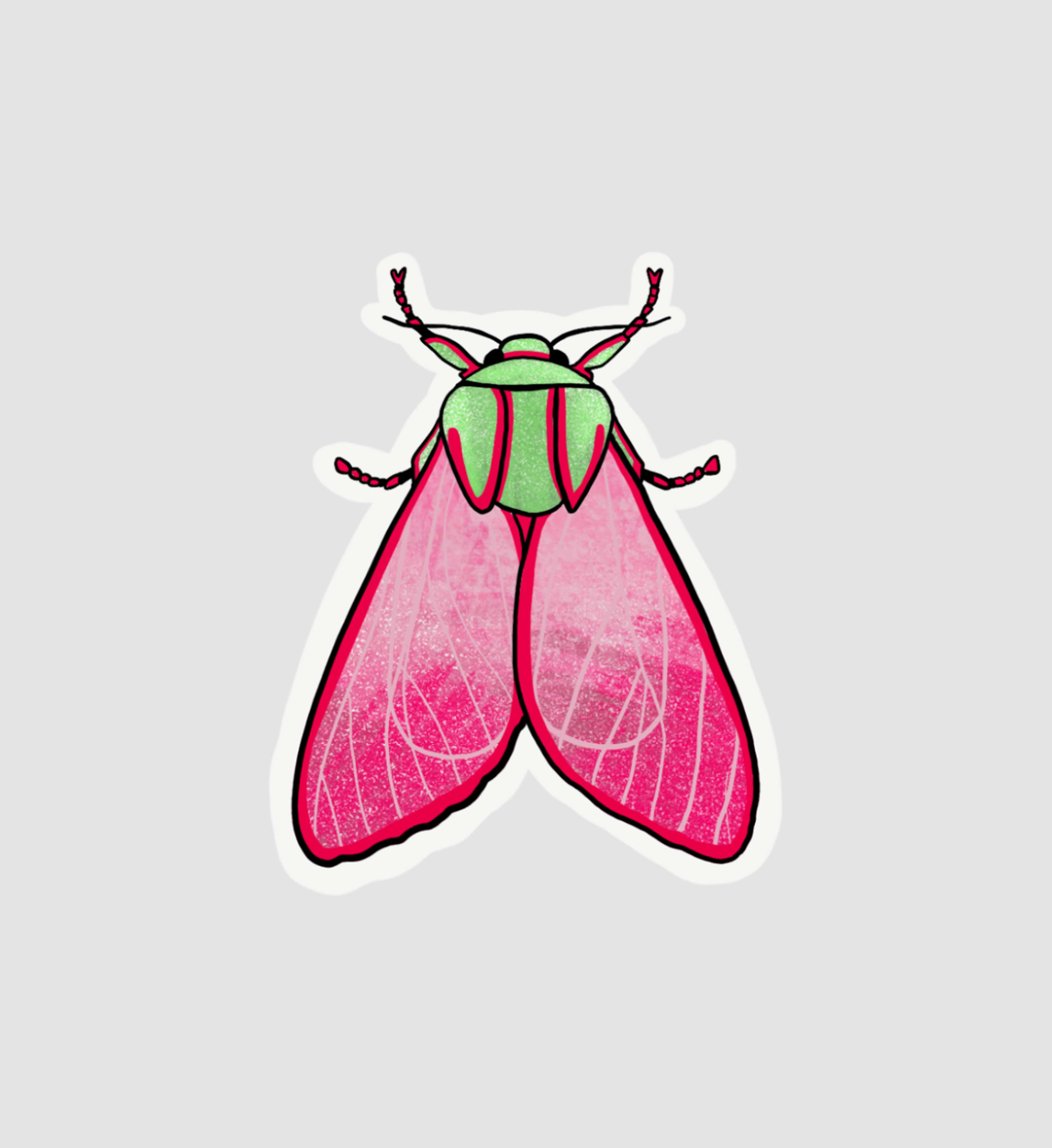 Moth Sticker