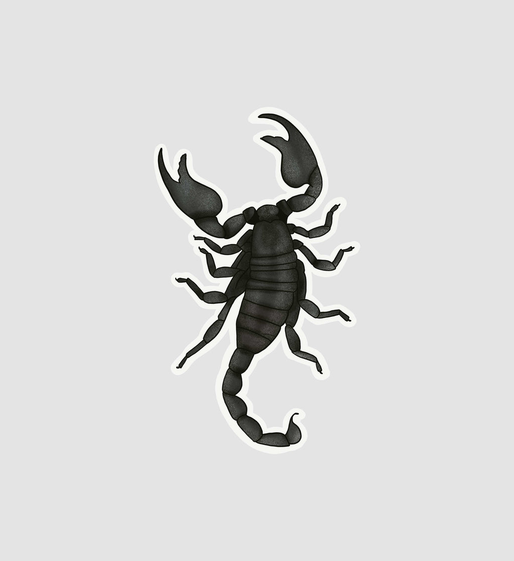 Scorpion Sticker
