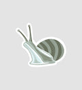 Snail Sticker