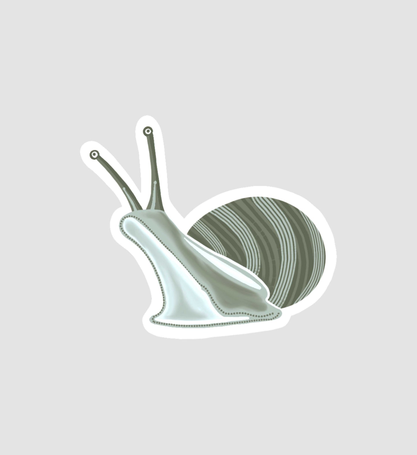 Snail Sticker