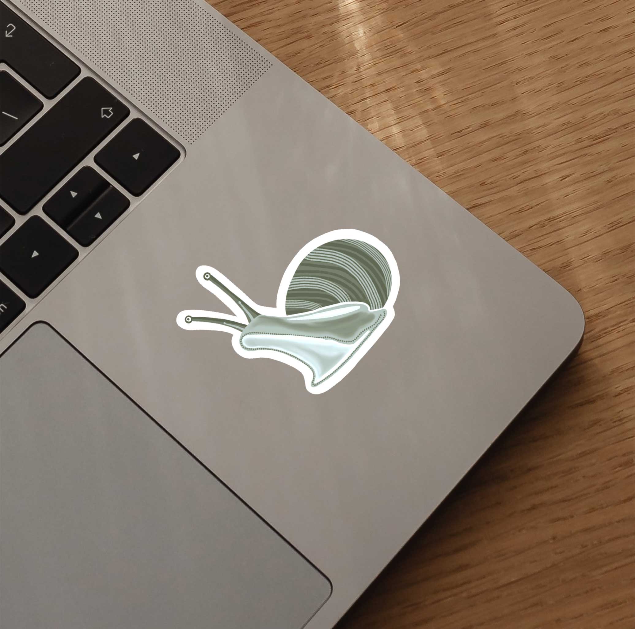 Snail Sticker