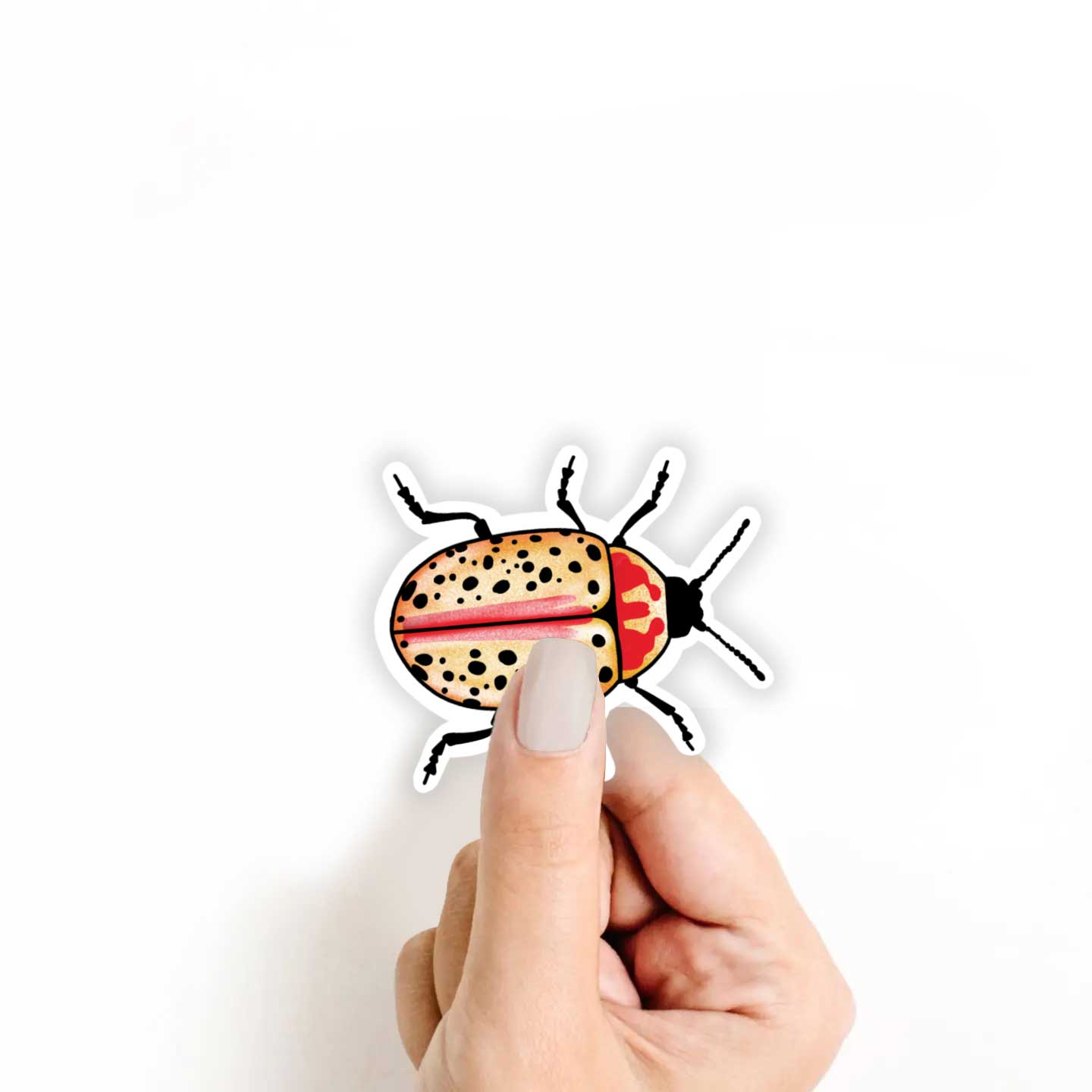Spotted Beetle Sticker
