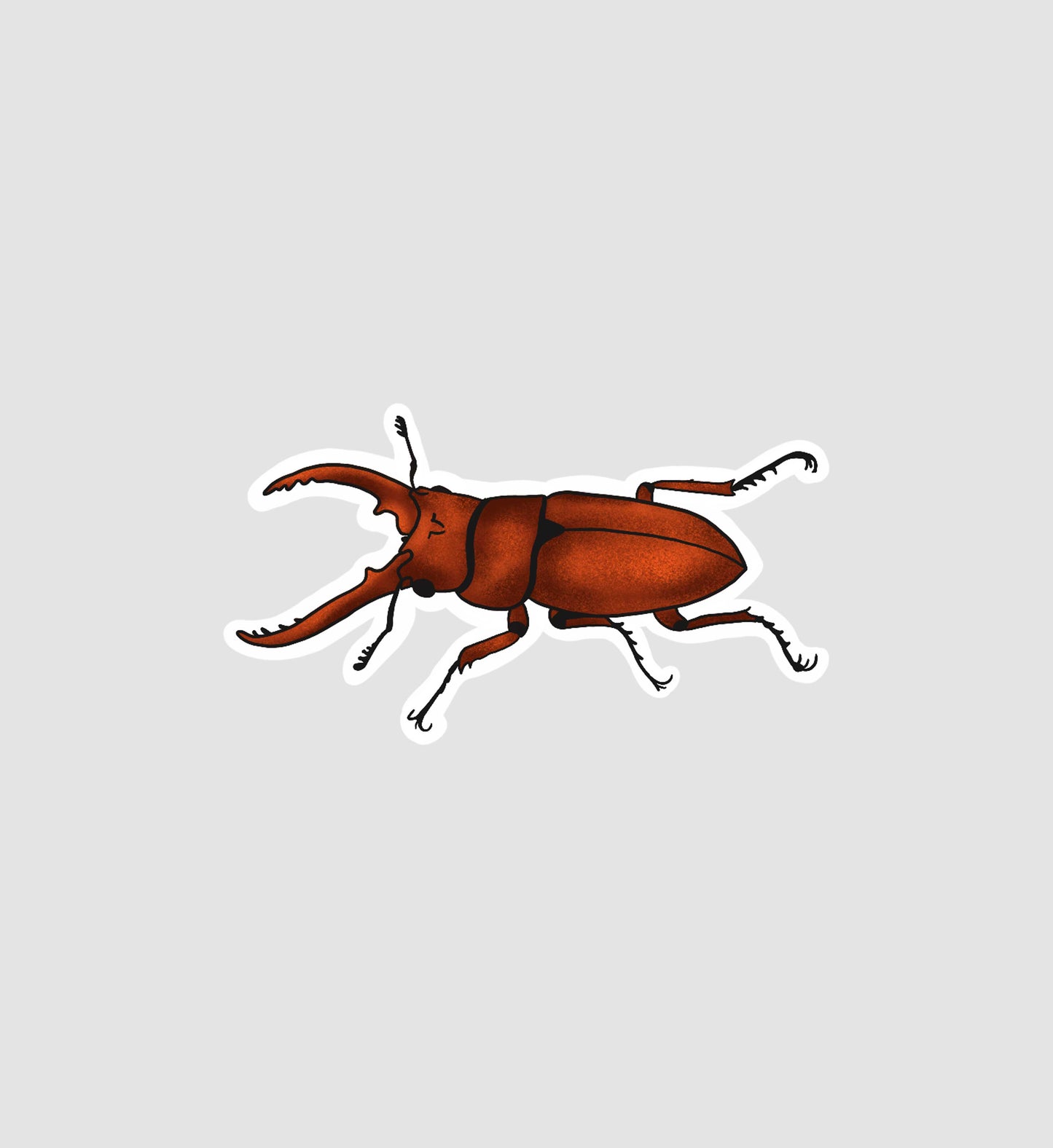 Stag Beetle Sticker
