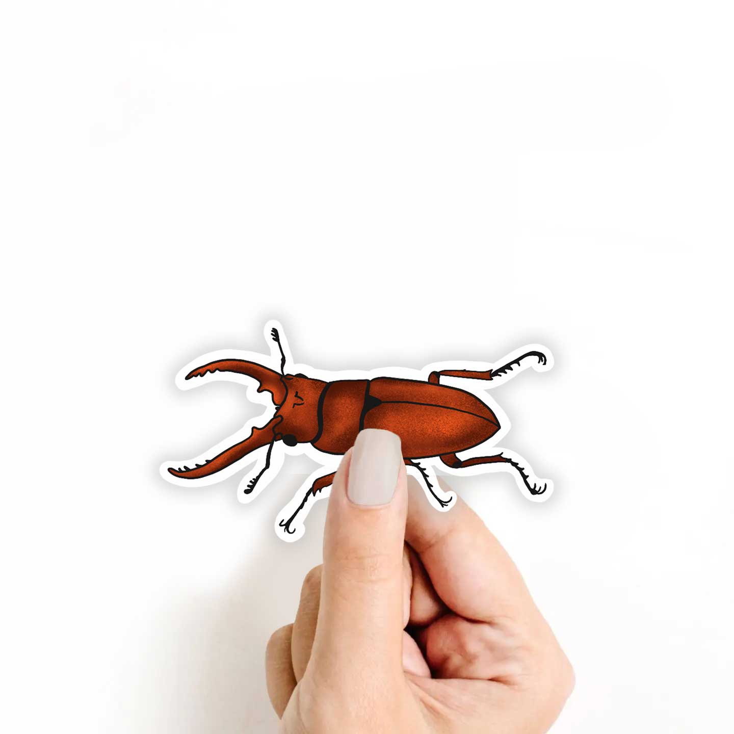 Stag Beetle Sticker