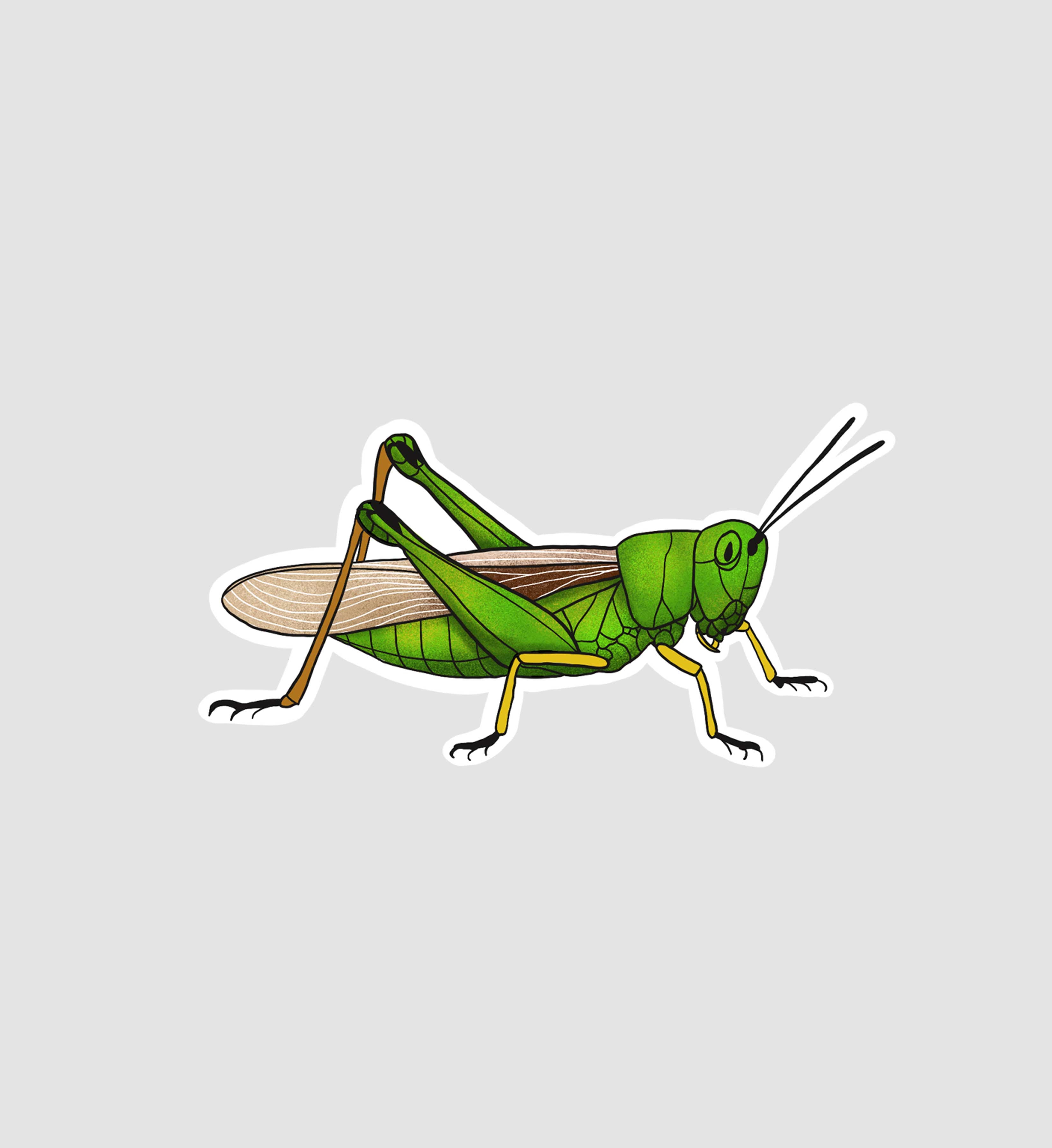 Grasshopper Sticker