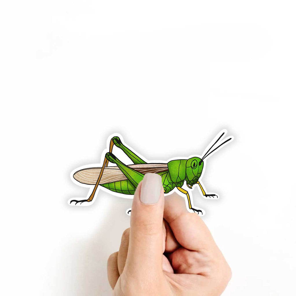 Grasshopper Sticker