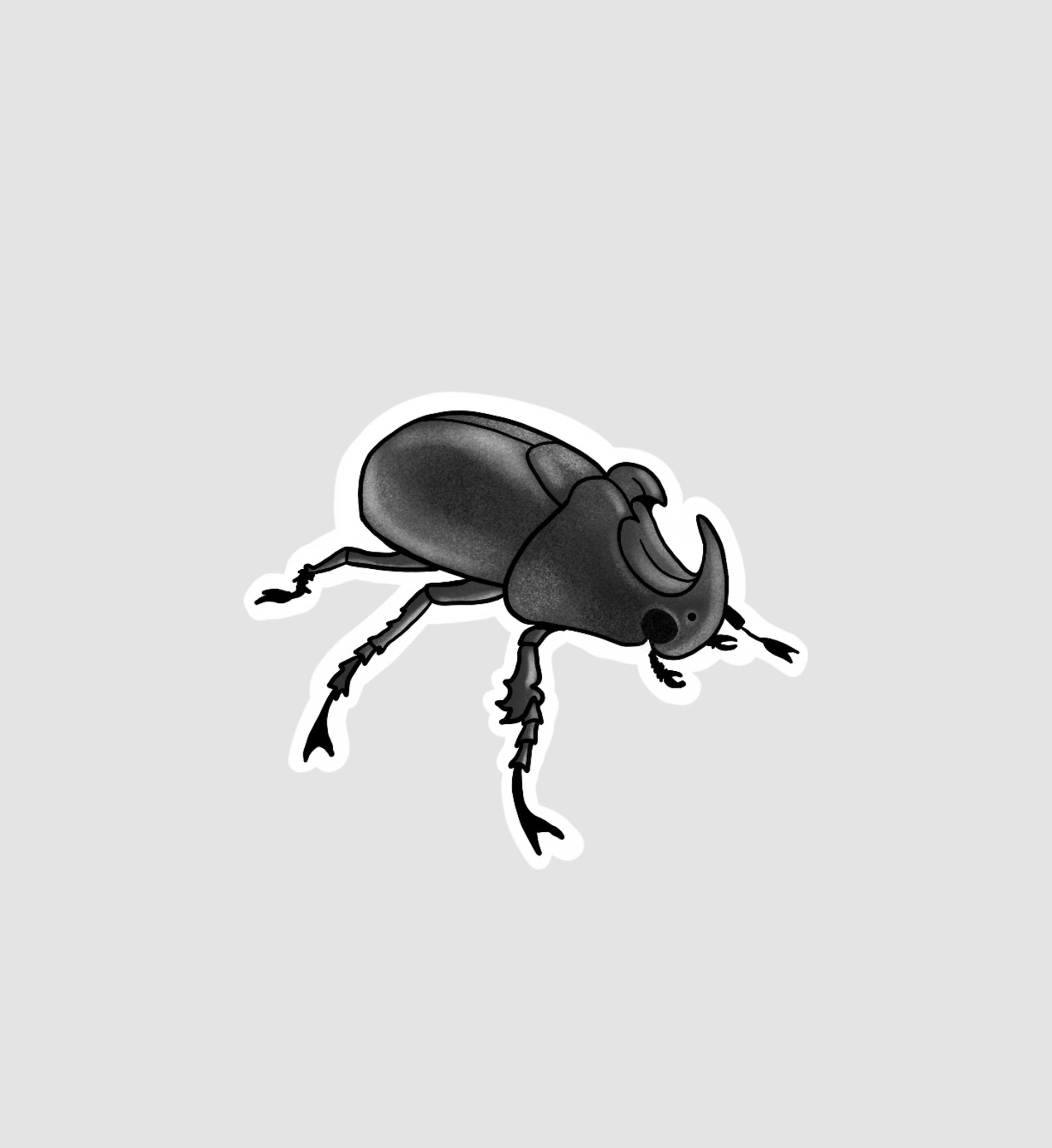 Rhinoceros Bettle Sticker