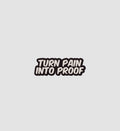 Turn Pain Into Proof Sticker