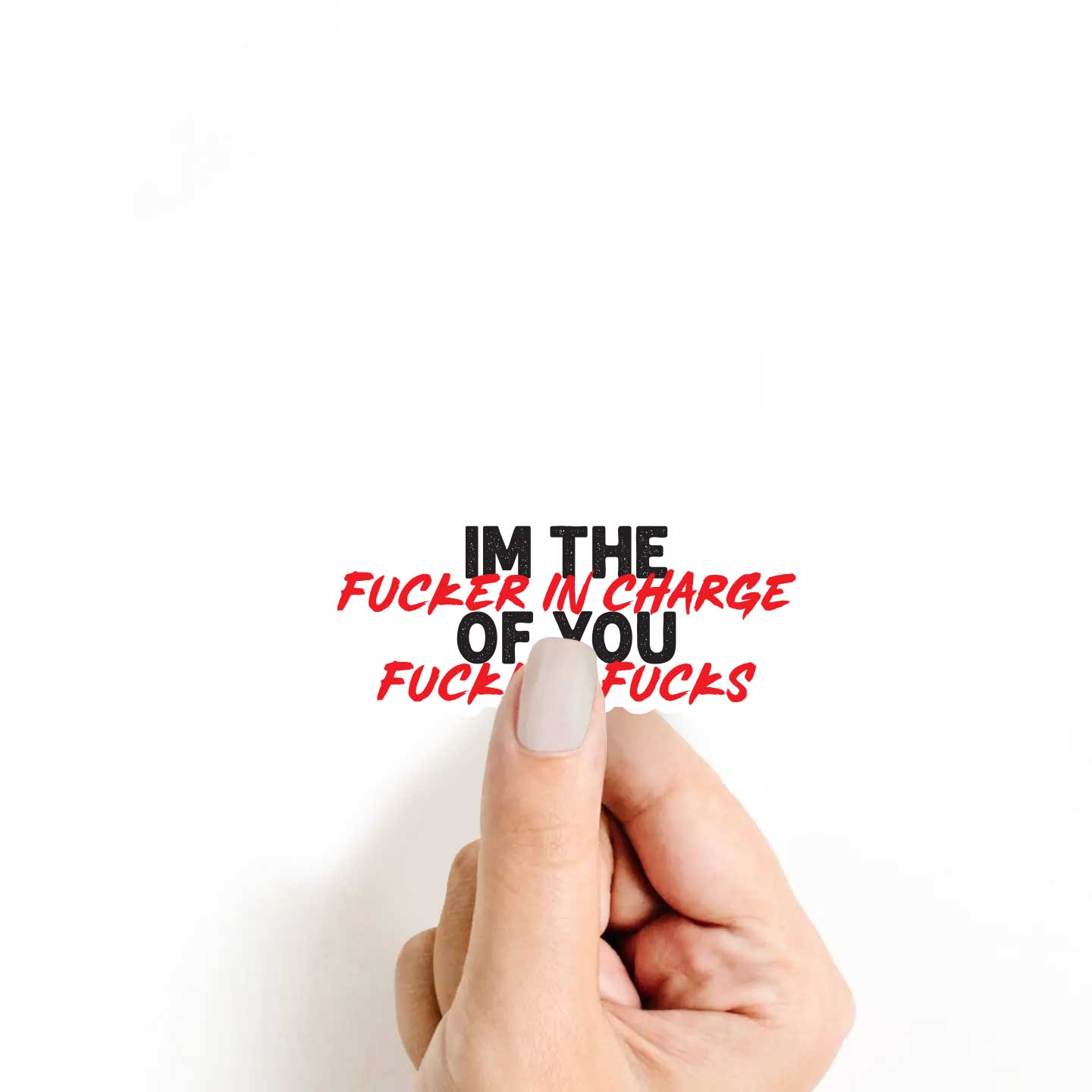 I'm The F*cker In Charge Of You F*cking F*cks Sticker