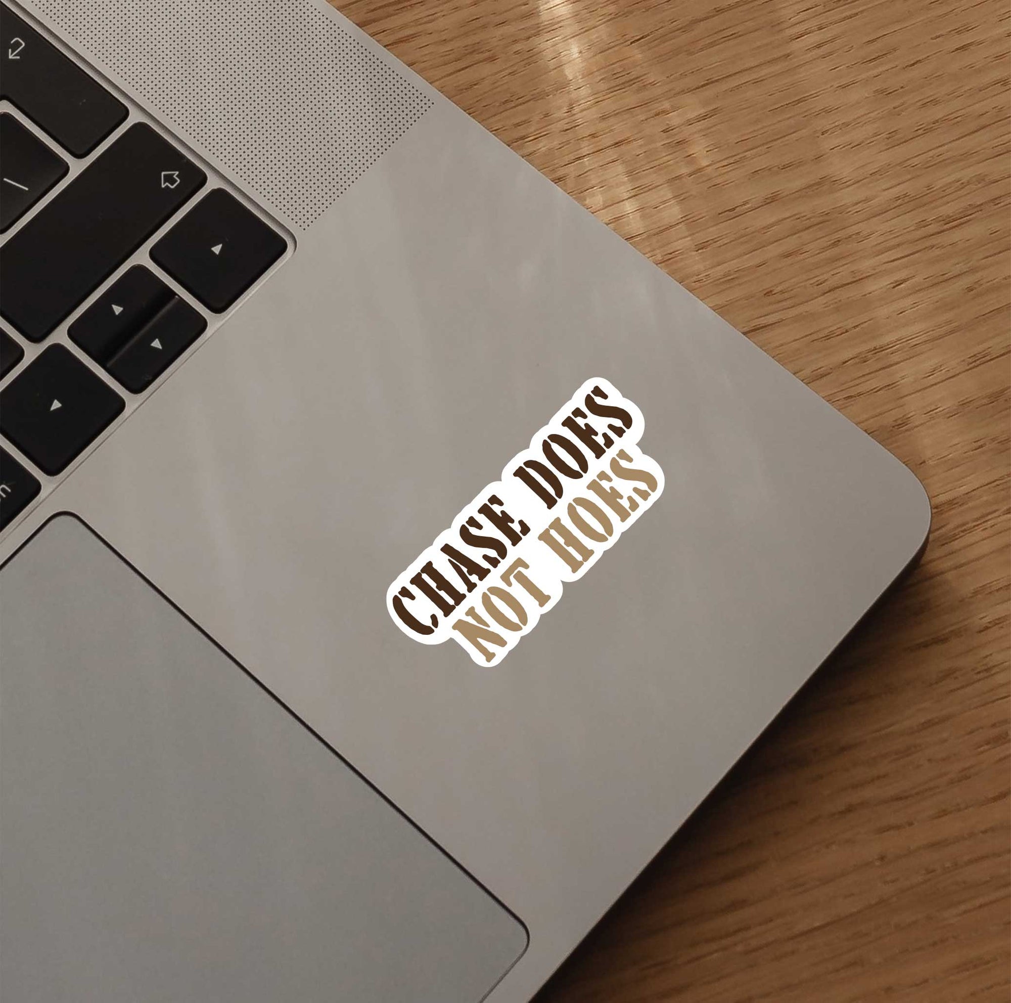 Chase Does Not Hoes Sticker