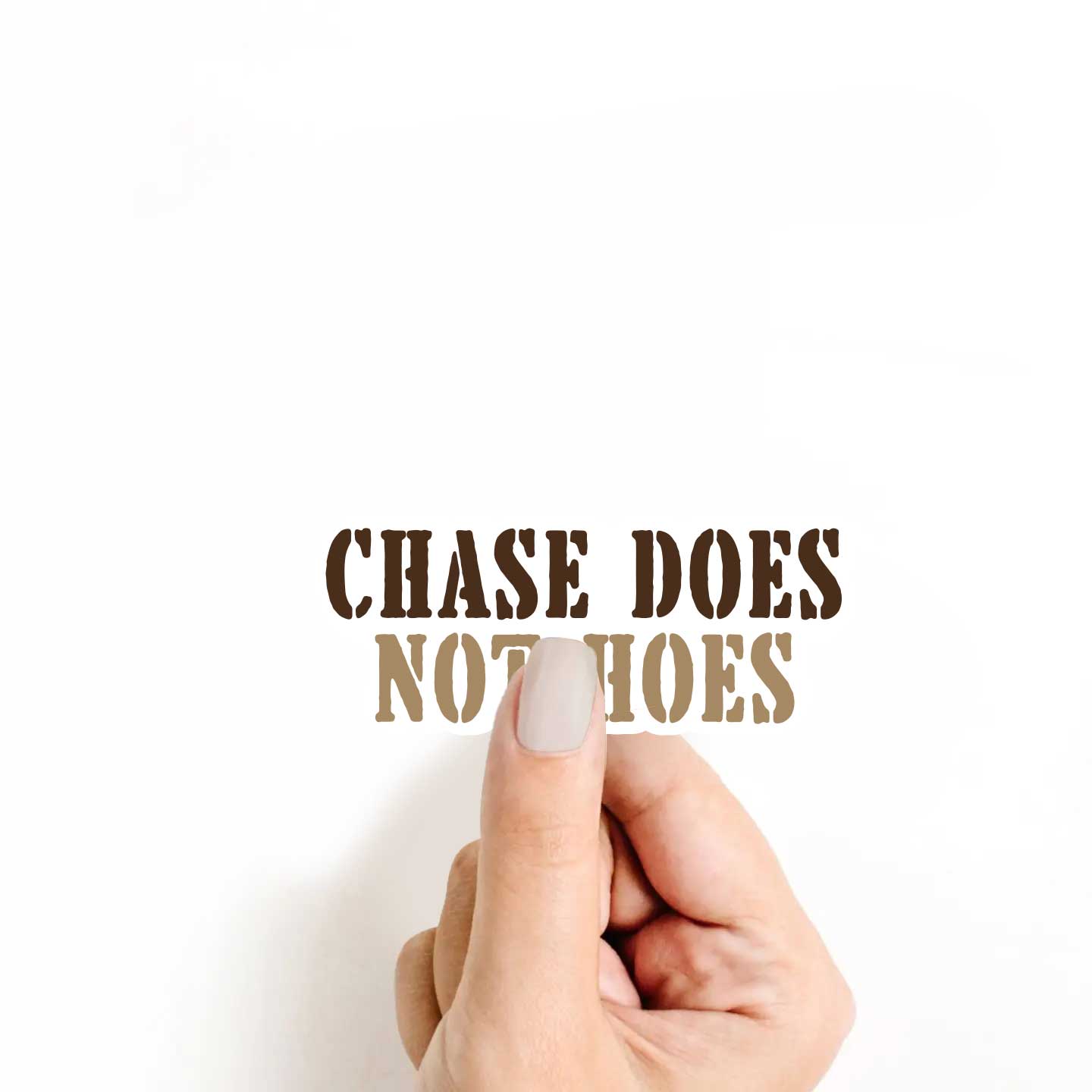 Chase Does Not Hoes Sticker