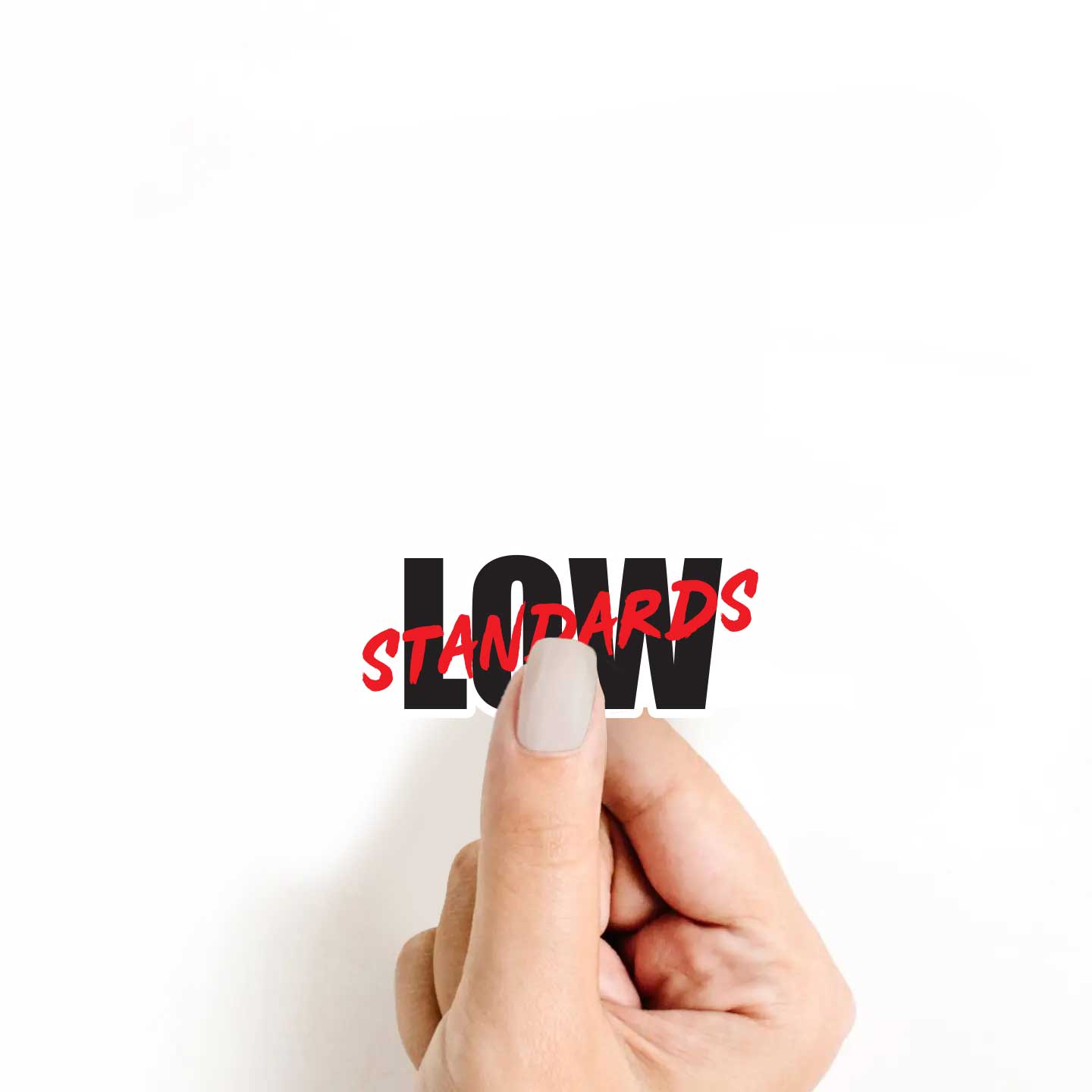 Low Standards Sticker